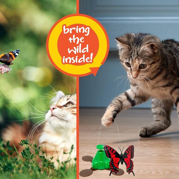 Fly By Spinner Butterfly Interactive Cat Toy Flying Fluttering New in Box - Picture 5 of 6